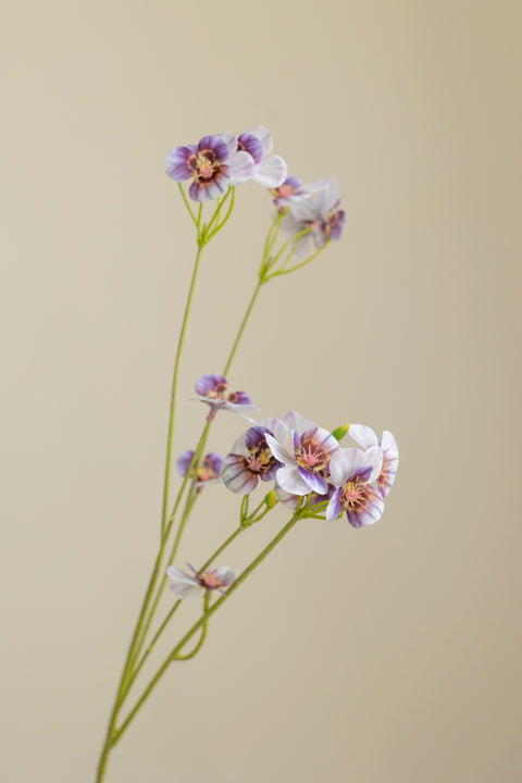 Blomst - Pensé H63cm Lilla