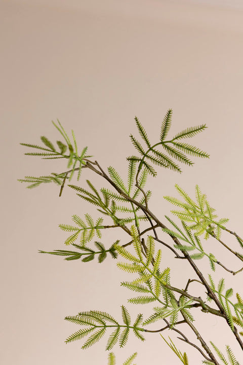 Gren - Mimosa H110cm Green