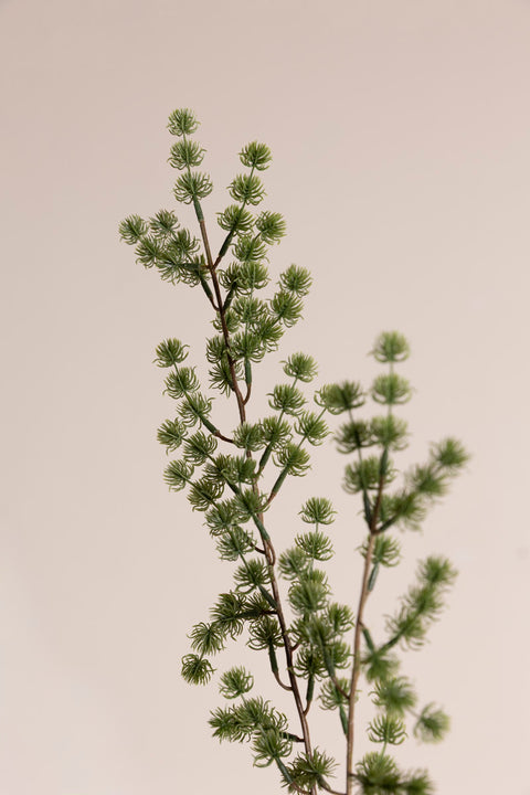 Kvist - Lerkegren H90cm