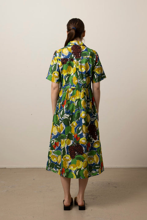 Kjole - Sketched Fruit Print Shirt Dress Verdigris/Multi