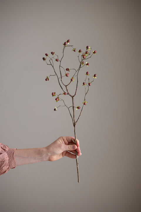 Kvist - Bærkvist H55cm Rød