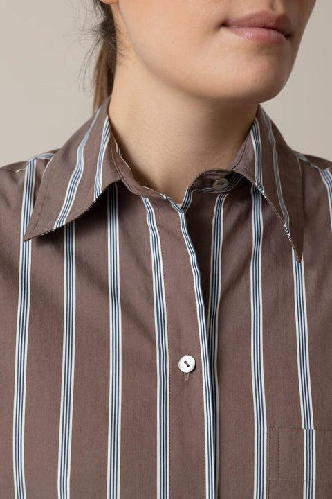 Skjorte - Stripe Button Down Shirt Brown Multi