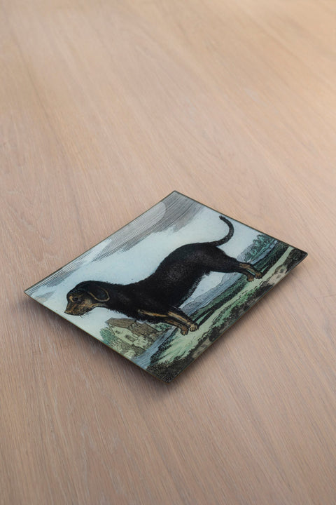 Glassfat - Decoupage Dachshund Black