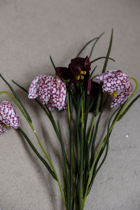 Blomst | Frittilaria H40cm