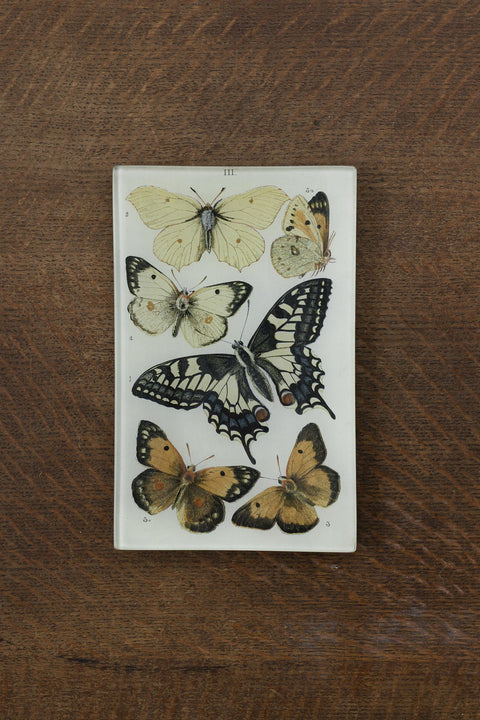 Glassfat - Decoupage Butterflies