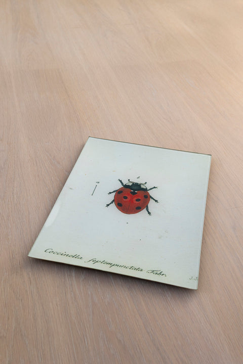 Glassfat - Decoupage Red Ladybug