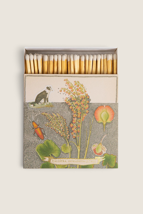 Bolina matchbox featuring a Florence Balducci botanical illustration of a collie dog and flowers on a cream background