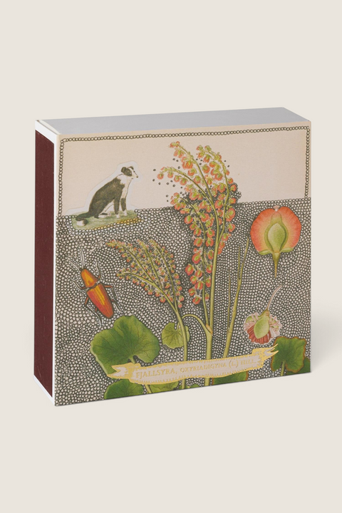 Bolina matchbox featuring a botanical illustration of a collie dog and flowers by Florence Balducci