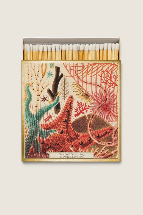 Bolina matchbox featuring a vintage Great Barrier Reef illustration with colorful coral and starfish designs