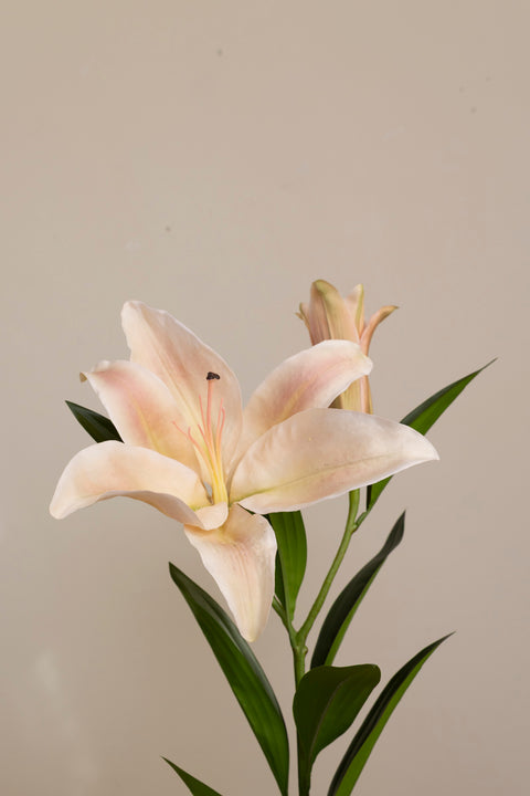 Blomst - Lilje H100cm Rosa