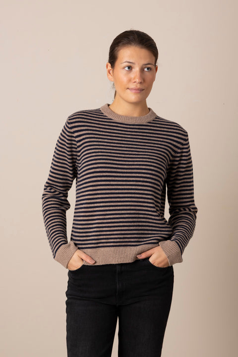 Genser - Cameron Jumper Brown/Navy Stripe