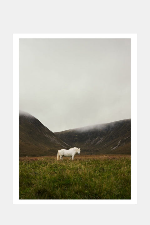 Plakat - Solitude 50x70cm