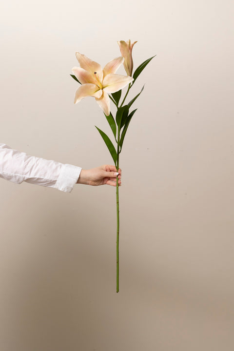 Blomst - Lilje H100cm Rosa