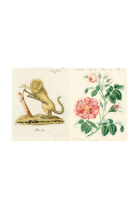 Klistremerkebok - John Derian Sticker Book II