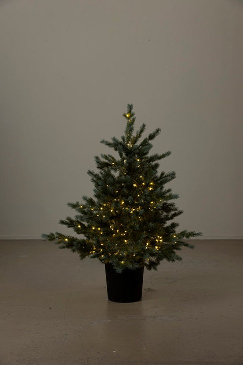 Tre - Gran m/Belysning H90cm