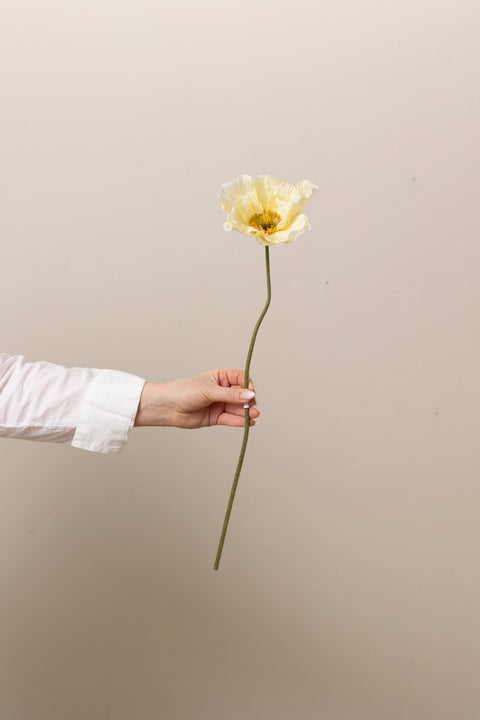 Blomst - Valmue H55cm Gul