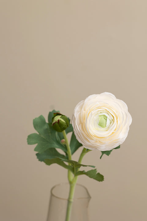 Blomst - Ranunkel H50cm Rosa