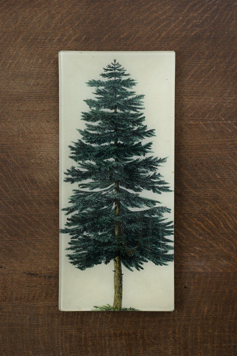 Glassfat - Decoupage Evergreen Tree