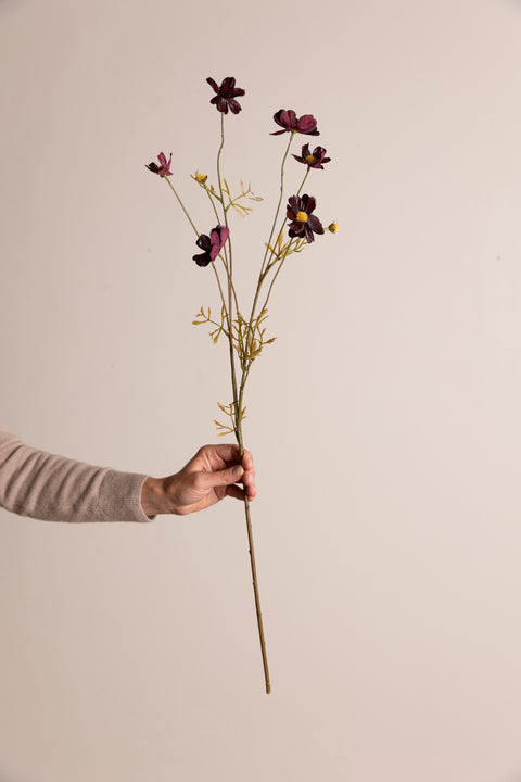 Blomst - Cosmos H77cm Burgundy