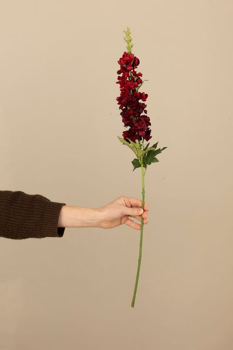 Blomst - Ridderspore H75cm Burgunder