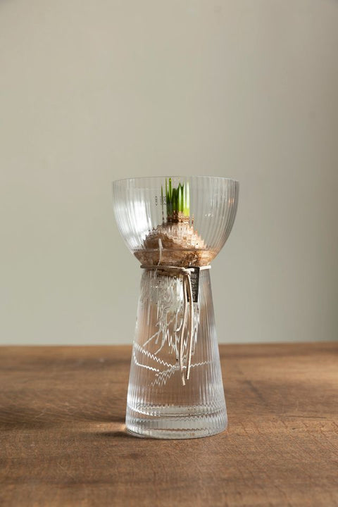 Løkvase - H19cm Riflet Glass