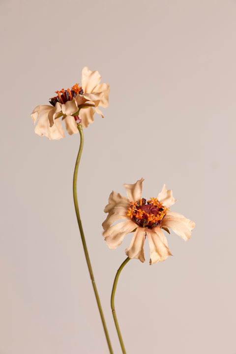 Blomst - Zinnia H64cm Peach