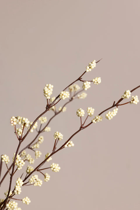 Kvist - Berry H80cm Cream