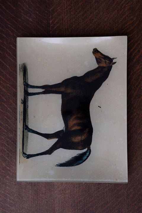 Glassfat - Decoupage Horse