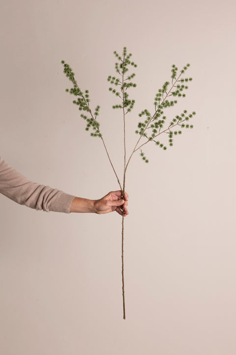 Kvist - Lerkegren H90cm