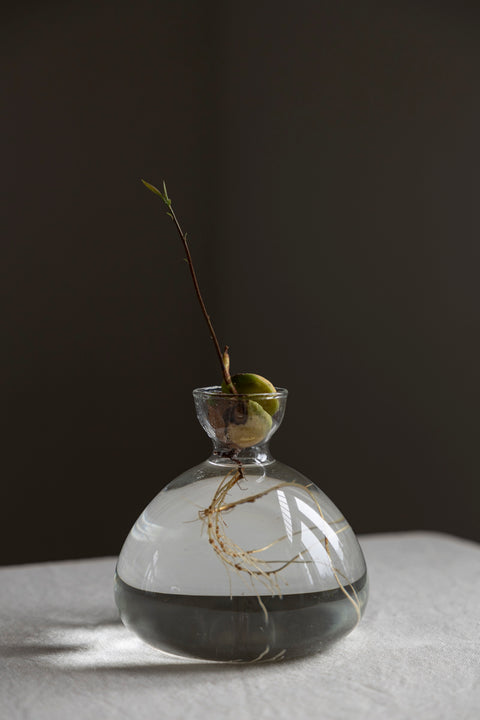 Vase - Avokado Klar