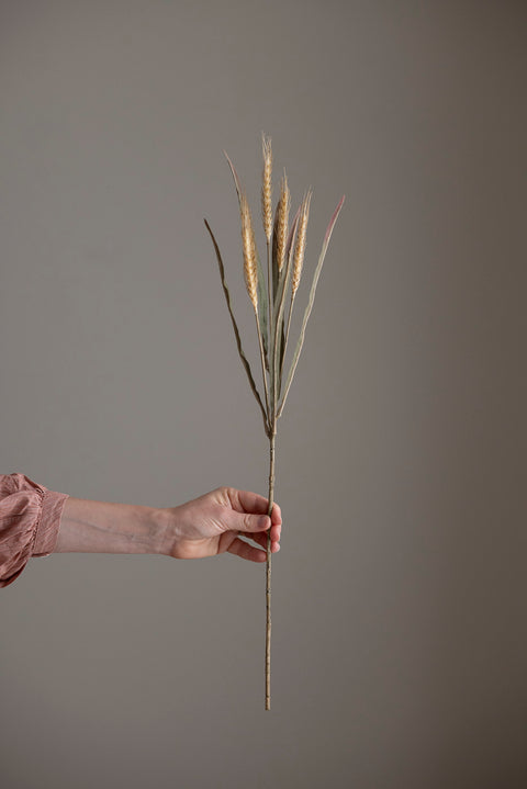 Kvist - Vetekvist Beige