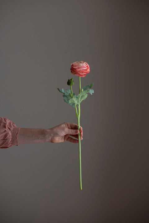 Blomst - Ranunkel H50cm Rosa