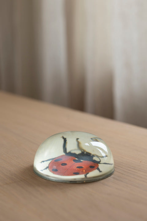 Papirvekt - Decoupage Red Ladybug