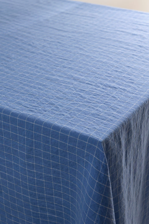 Duk - Blue School Check