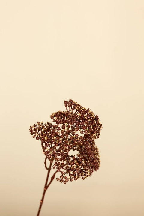 Kvist - Ryllik H54cm Burgunder