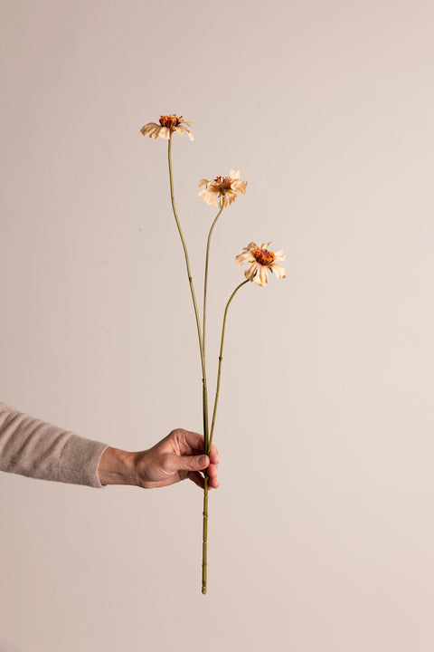 Blomst - Zinnia H64cm Peach