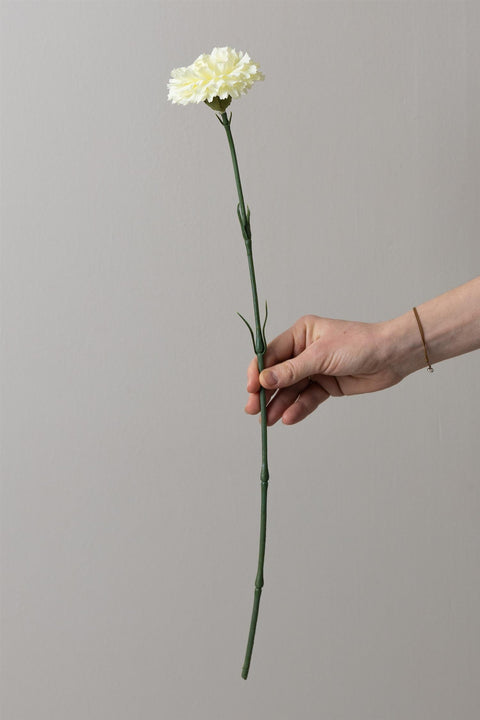 Blomst - Nellik H55cm Hvit