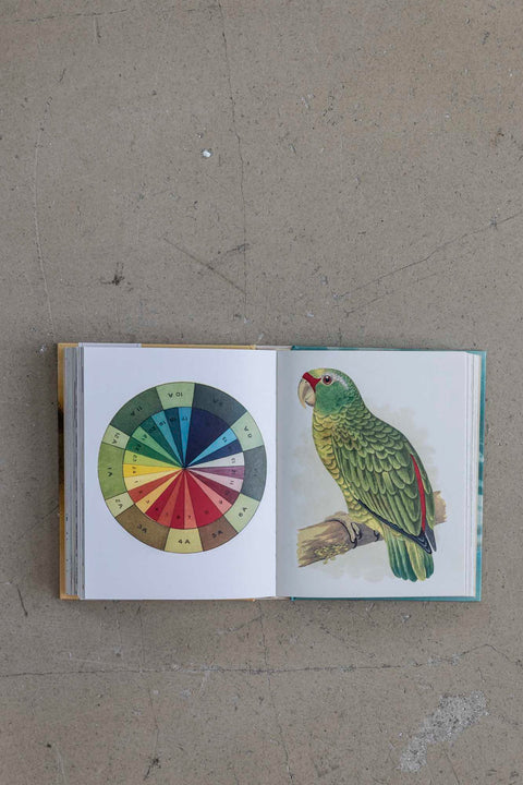 Bok - John Derian Sticker Book