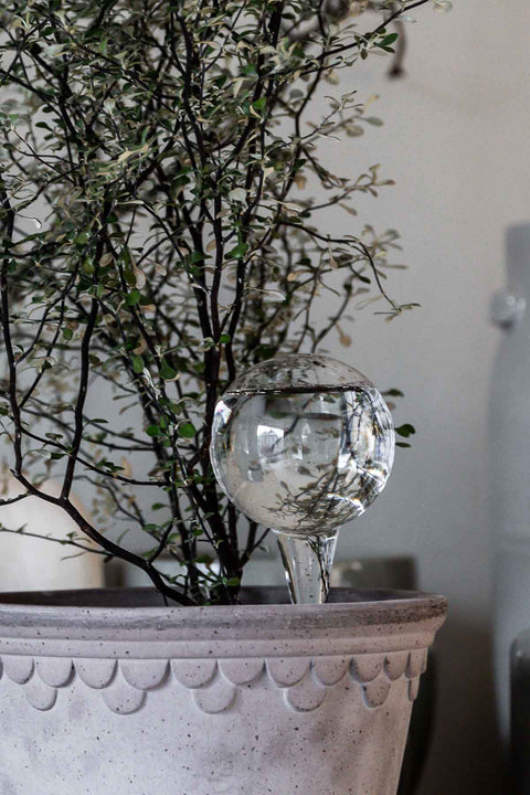Selvvanningsglass | Olivia Rund  H26cm