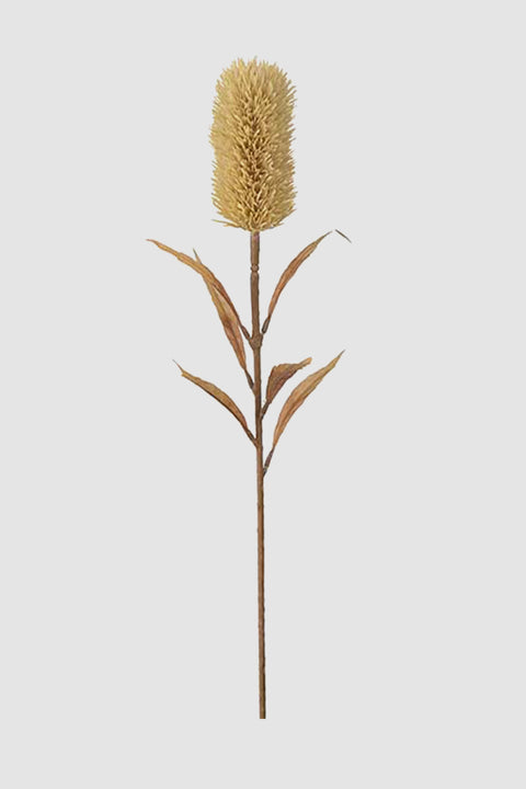 Blomst - Banksia H75cm