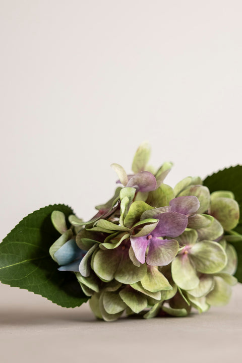 Blomst - Hortensia H25cm