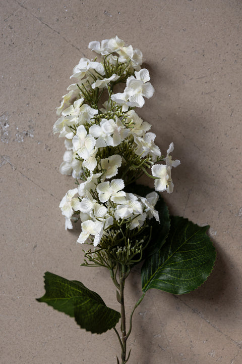 Blomst | Syrinhortensia 80cm Hvit