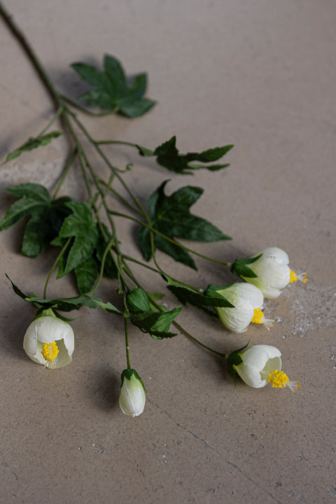 Blomst | Blomsterlönn H80cm Hvit