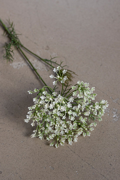 Blomst | Allium H70cm Hvit