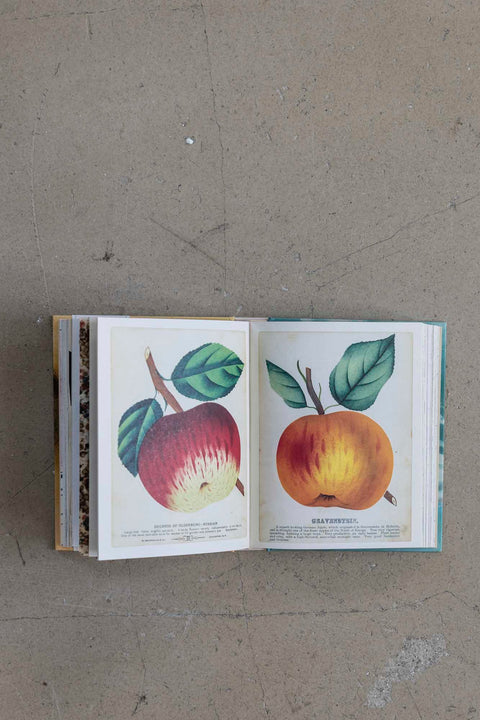 Bok | John Derian Sticker Book