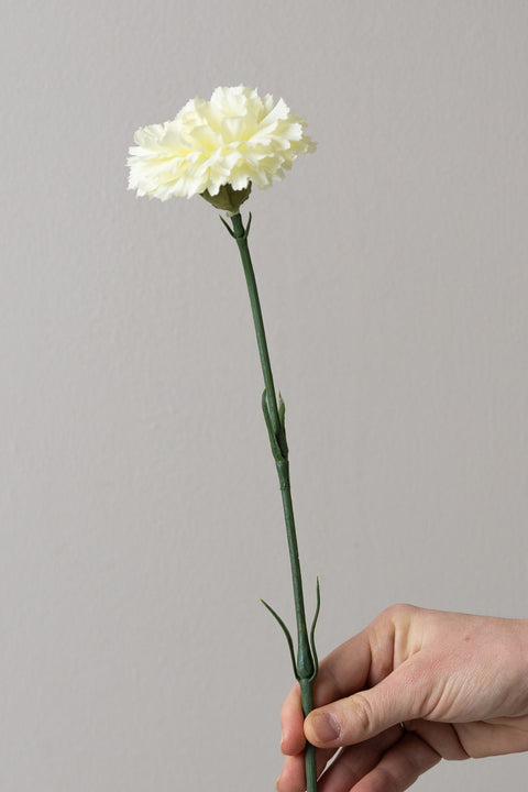 Blomst - Nellik H55cm Hvit