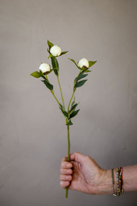 Blomst | Pion H45cm Hvit