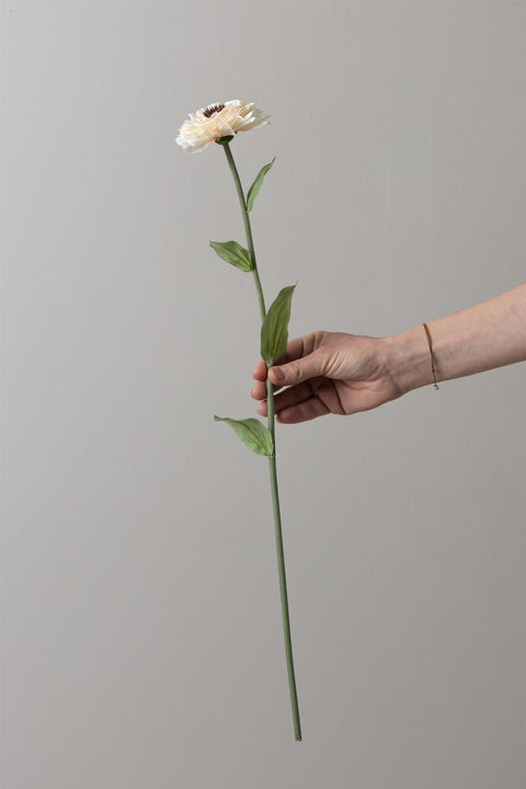 Blomst - Zinnia H58cm
