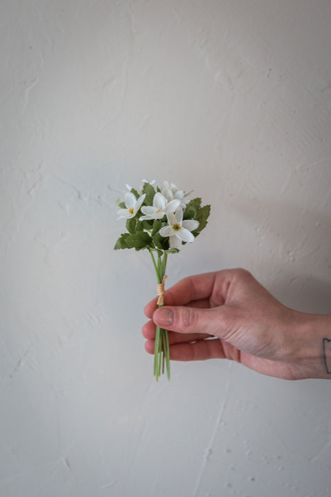 Blomst | Hvitveis H18cm